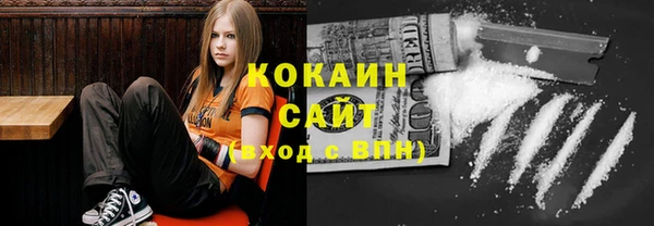 ешки Дмитриев