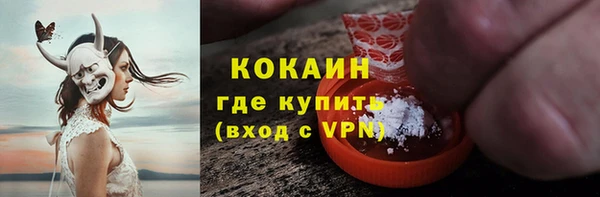 ешки Дмитриев